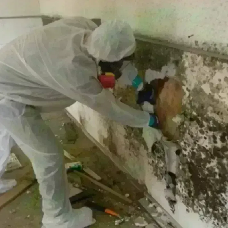 Mold Remediation and Removal in Bermuda Run, NC